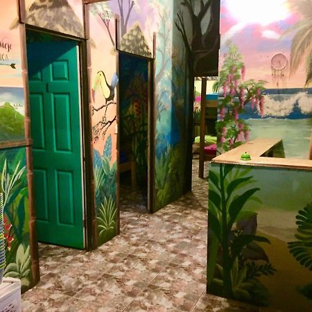 Oasis Beachfront Hostel Пуэрто-Лимон Экстерьер фото