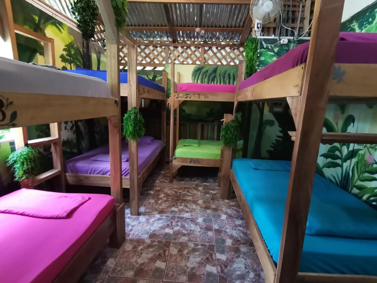 Oasis Beachfront Hostel Пуэрто-Лимон Экстерьер фото
