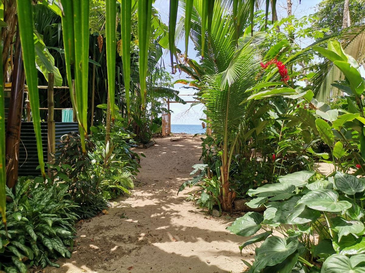 Oasis Beachfront Hostel Пуэрто-Лимон Экстерьер фото