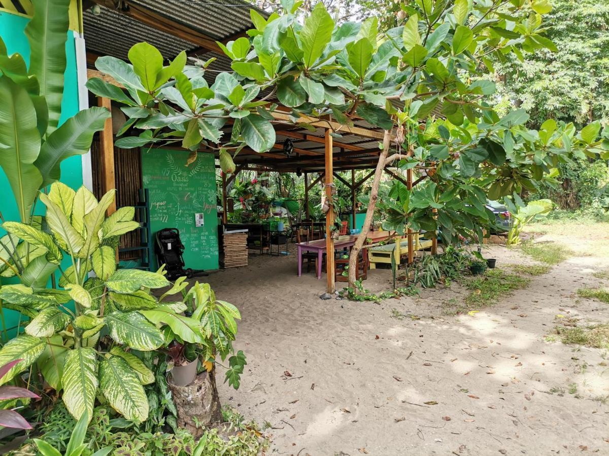 Oasis Beachfront Hostel Пуэрто-Лимон Экстерьер фото