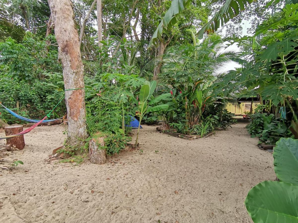 Oasis Beachfront Hostel Пуэрто-Лимон Экстерьер фото