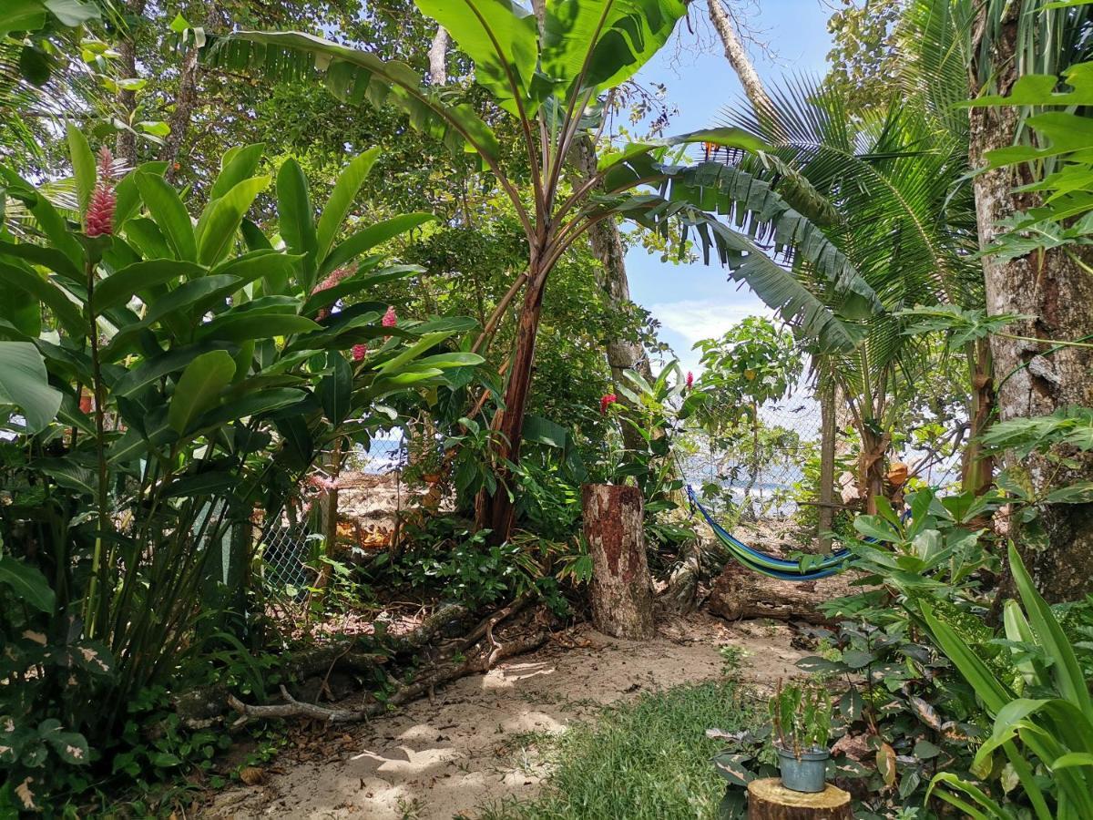 Oasis Beachfront Hostel Пуэрто-Лимон Экстерьер фото